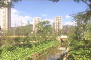 私家花园爆料视频,独家爆料带你领略隐秘奢华生活  第2张