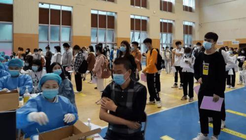 蛋壳特工队最新爆料消息,神秘任务背后的惊险历程 第2张 蛋壳特工队最新爆料消息,神秘任务背后的惊险历程 第2张