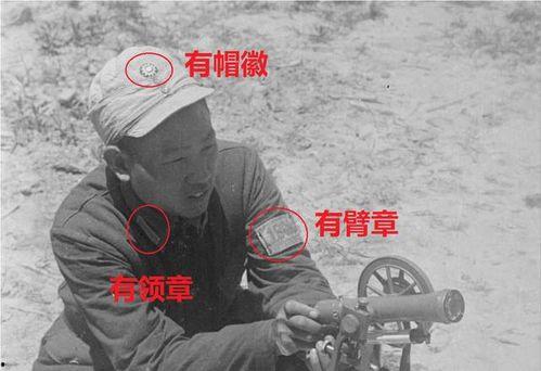 洪大炮爆料真实人气视频,真实人气视频背后的惊人真相