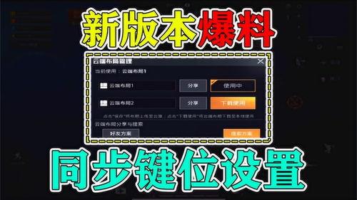 精英最新版本爆料下载,全新功能与升级亮点抢先看