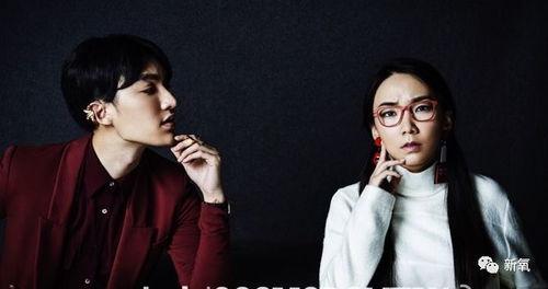 娱乐圈爆料男艺人的小说,揭秘男艺人背后的秘密