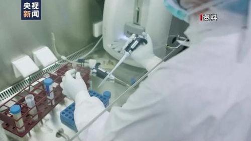 辉瑞研究人员爆料的视频,疫苗研发黑幕与真相曝光